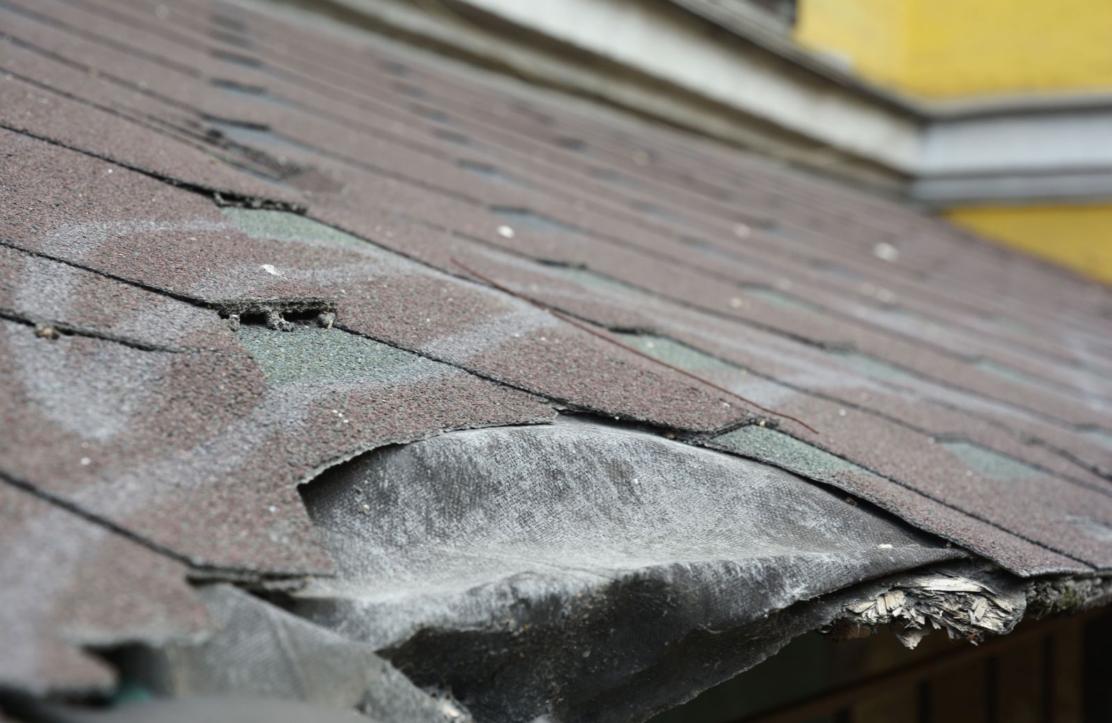 High Definition Roofing Images